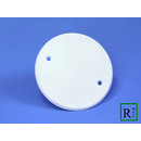 Kover Plate (Painted Ceiling Plate)