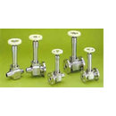 Cryogenic Valves