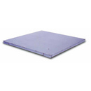 RoughDeck HE Hostile Environmental Stainless Steel Low-Profile Floor Scales