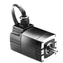 22B Series BLDC Motor