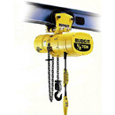 Hook & Lug Mounted Hoists with Push and Hand-Geared Trolleys - One and Two Speed Hoists