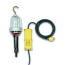 Model GST50 12-Volt Handheld Droplight with Transformer