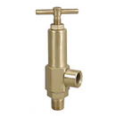 667 RELIEF VALVE - 1/4" NPT