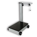 Beam Scale