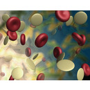 Additive Concentrates