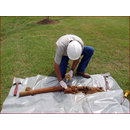 Technical Services