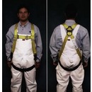 Harnesses