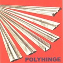 Plastic Hinges