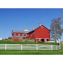 Barn & Roof Coatings