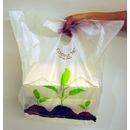 Compostable Carryout Packaging