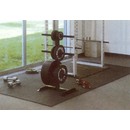 Physical Fitness