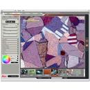 Imaging Software - Leica Application Suite