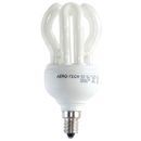 Compact Fluorescent Lamps (CFL's)