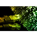 Fiber Optic Assemblies