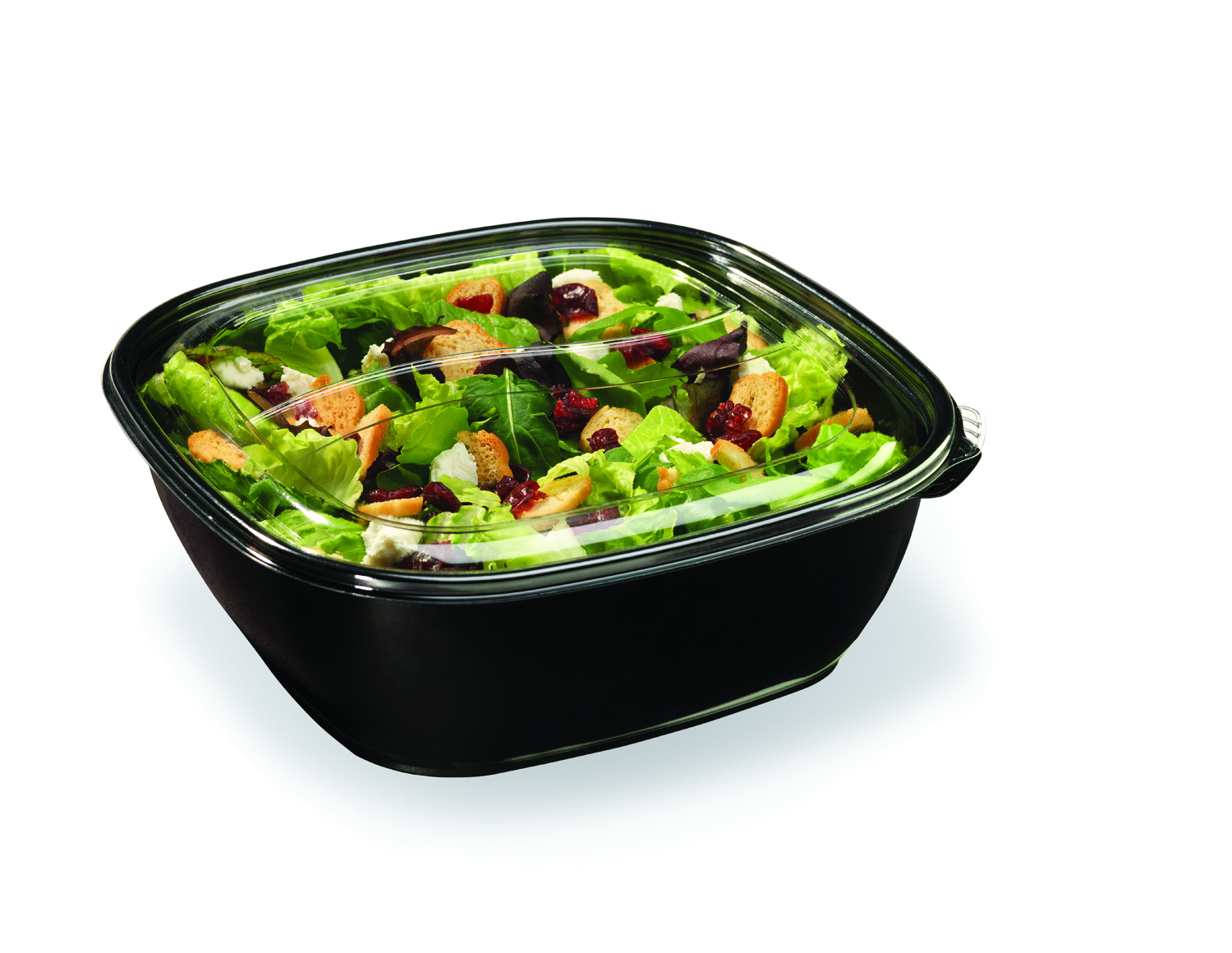 Contains EcoStar� food-grade recycled PET.