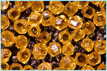 Magnified 100X