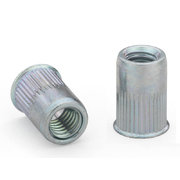 Thin head, knurled, round body – Type AETK