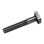 Stainless Steel T-Bolts