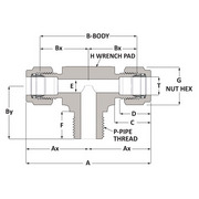 Male Branch Tee - Duolok