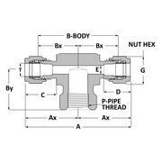 Tube fitting female branck teel