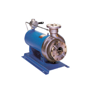 1016 G Series Canned Motor Pumps from Teikoku USA