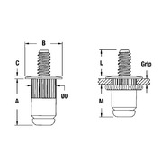 Blind Threaded Studs - Metric 2