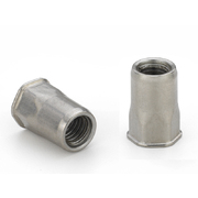 Thin head, semihex body, stainless - Type AETHC