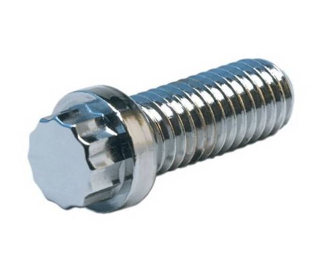 Chrome Plated Screws