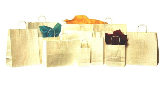 Kraft Paper Shopping Bags (Non-Printed) by BannerBuzz