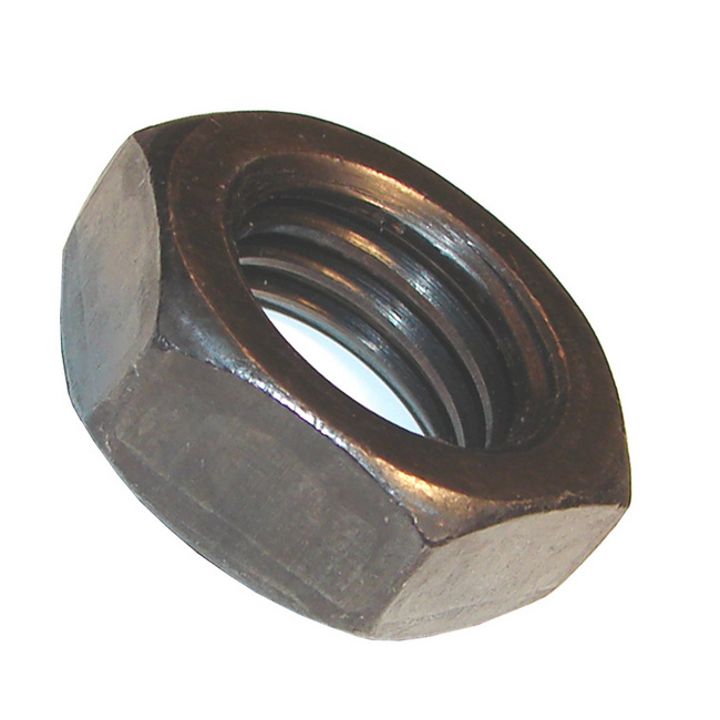 Morton Low Carbon Steel Acorn Nuts 1/4-20 Thread Size Morton Machine Works AN-6 Inch Size
