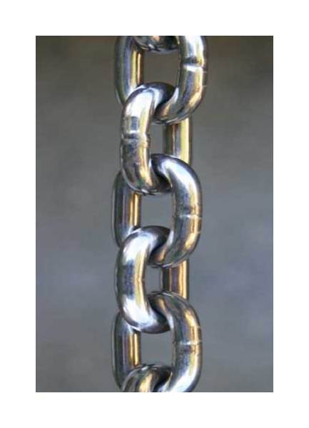10 Ft T316 Stainless Steel 1/4'' Proof Coil Welded Link Chain 1,250 WLL 