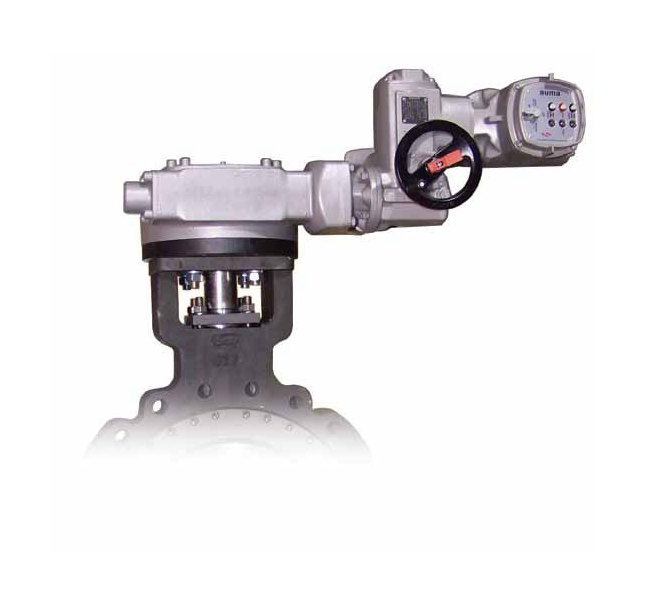 Control Valve Actuators