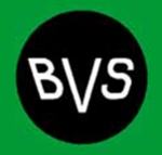 BVS Inc. Company Logo