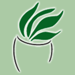 Palmetto Planters, LLC