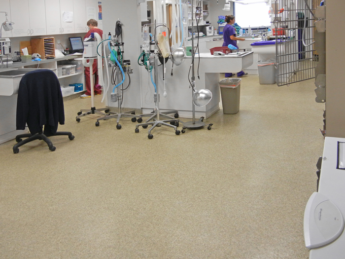 Everlast Epoxy Systems Inc Lake City Florida Fl 32025 Healthy