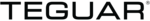 Teguar Computers Company Logo