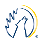 Blue Wolf Company Logo