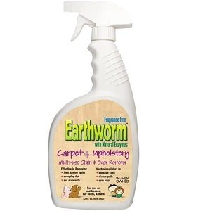 Best Sellers: Best Household Fabric Upholstery Cleaners