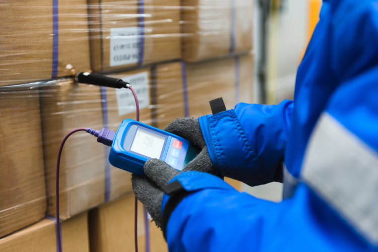 Worker in warm apparel using thermometer to assess temperature of frozen packages