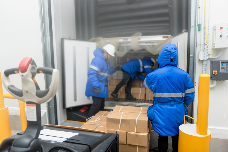 How Do Cold Chain Logistics Impact Global Biopharmaceutical Distribution?