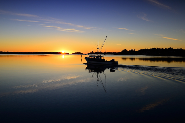 Tennessee Fishing Boat Manufacturer Plans to Create 280 Jobs