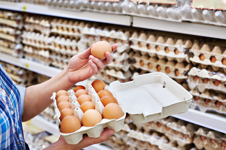 How Consumer Choice Is Shaping the Egg Industry