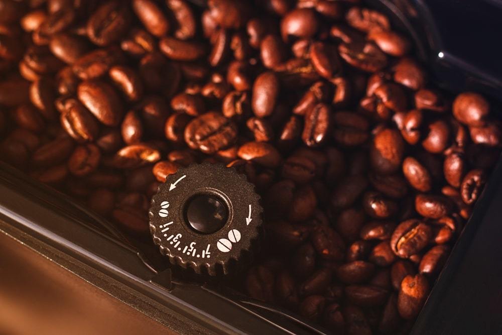 Bunn G1 HD Bulk Coffee Grinder - WebstaurantStore
