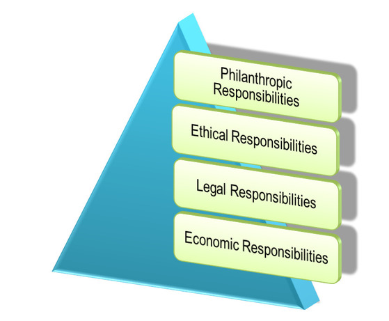 Carroll's csr pyramid company examples image