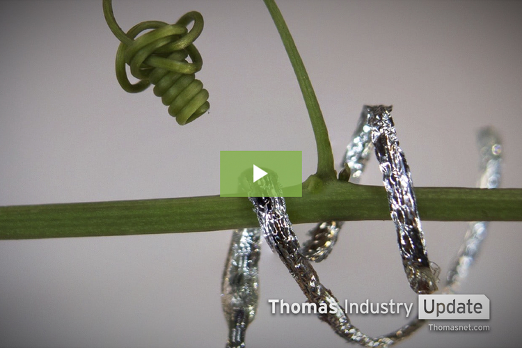Vinelike Robotic Tentacles May Be Capable of Growing, Adapting to Environment