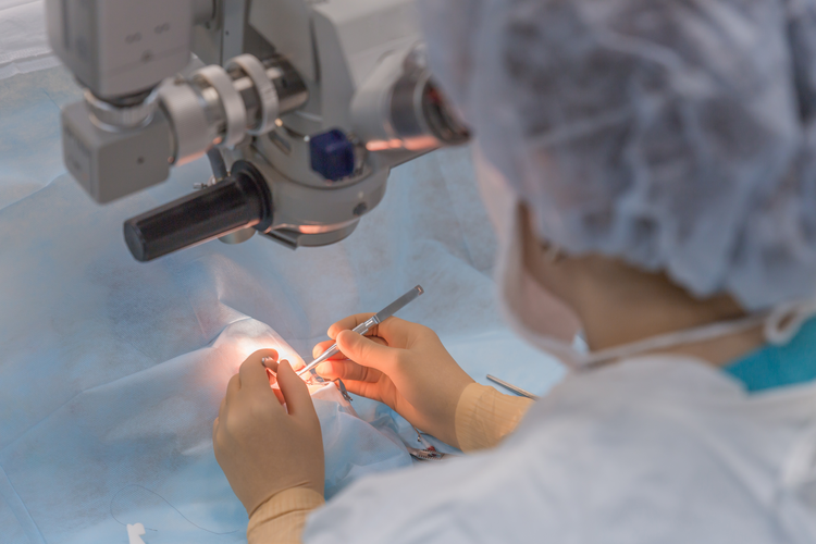 Optical System Maker Designs Instruments for Imaging in Robotic Surgery