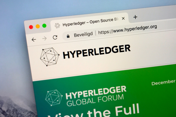 Hyperledger website.