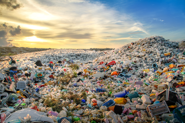 A Circular Economy for Plastics Comes One Step Closer to Reality
