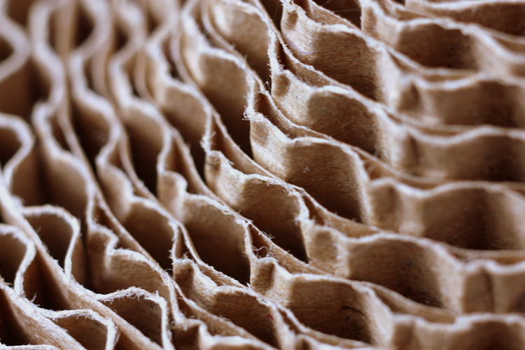 Louisiana Packaging Manufacturer Announces $50 Million Expansion