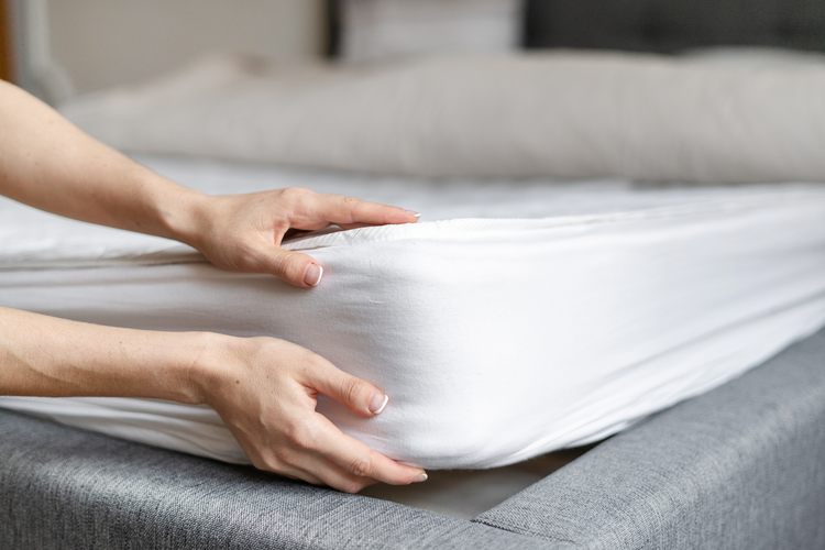 Premium Bedding Products Manufacturer Invests Over 4 Million in South